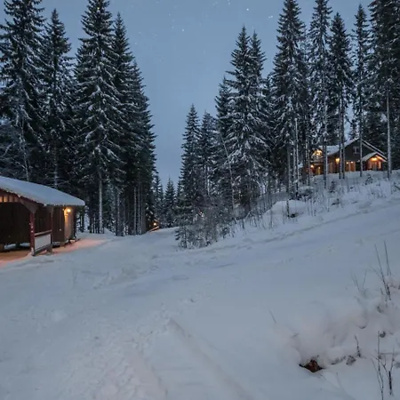 Sirppilahti By Interhome